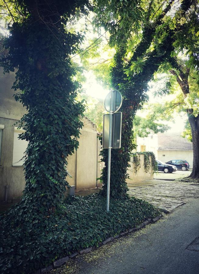 Hotel Centar Subotica Zewnętrze zdjęcie